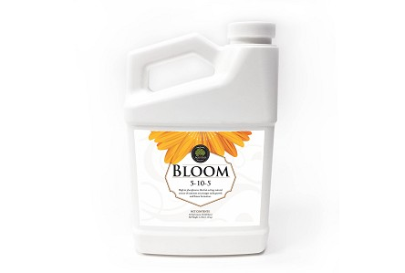 Liquid Bloom