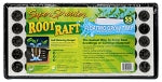 Super Sprouter Root Raft Floating Plug Tray with Plugs (55 Cell)